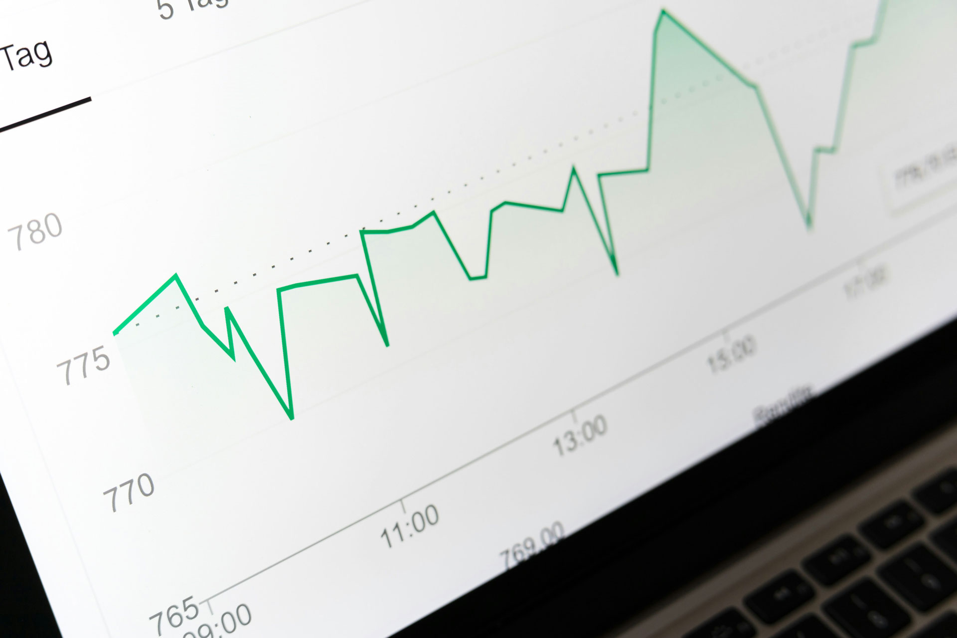 Search-Engine--Optimization